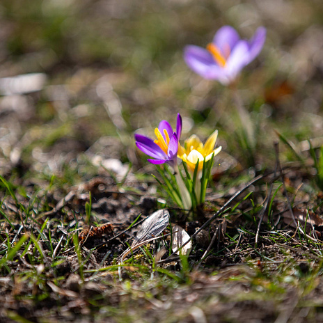 Чек-лист для 2026 года: закрываем первый квартал правильно