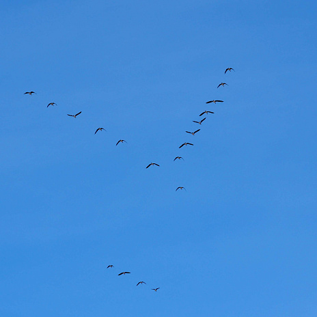 Изменения в законодательстве о внешней трудовой миграции
