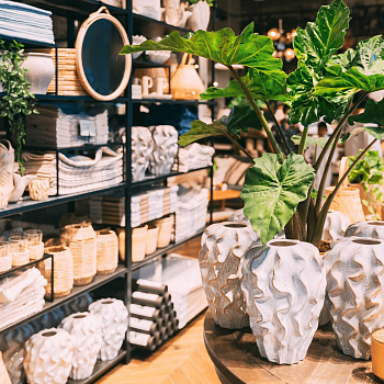 Подтверждено: чистый разум не скован границами